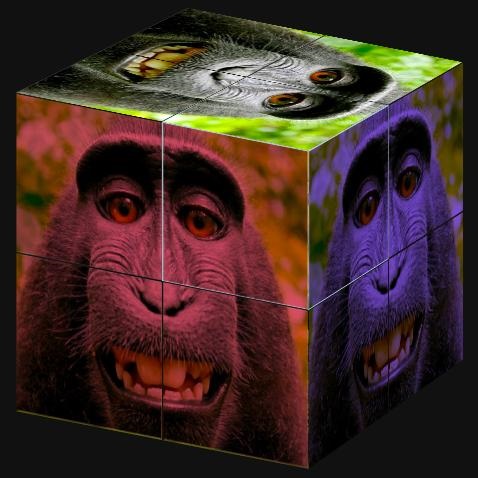 3D拼图